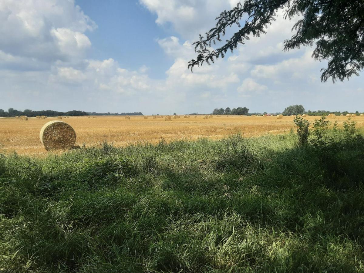 Herberg Tisza Tiszabábolna Екстериор снимка