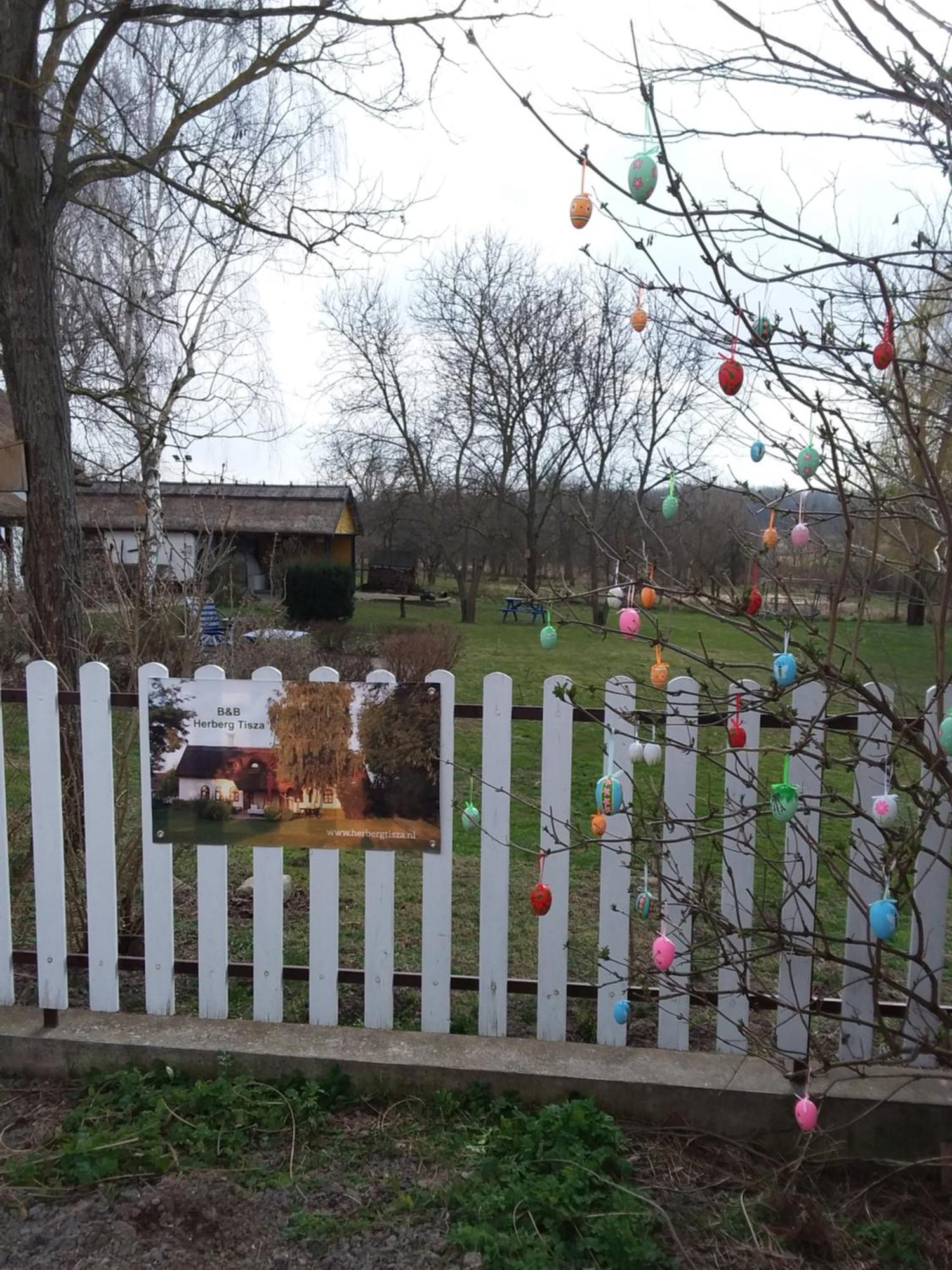 Herberg Tisza Tiszabábolna Екстериор снимка