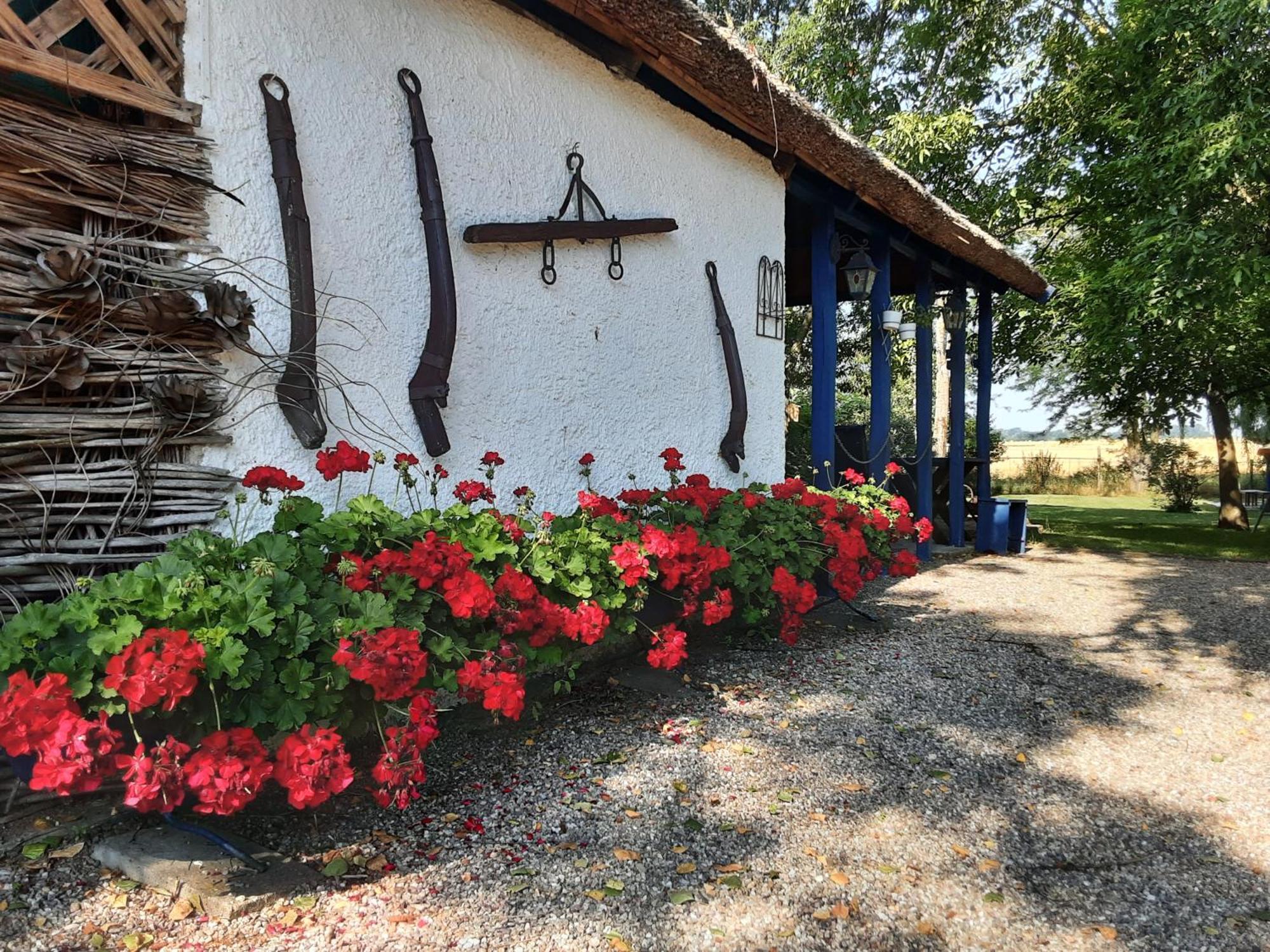 Herberg Tisza Tiszabábolna Екстериор снимка